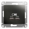 Розетка 2xUSB SYSTEME ELECTRIC GLOSSA, антрацит