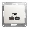 Розетка 2xUSB SYSTEME ELECTRIC GLOSSA, скрытый монтаж, перламутр, GSL000639
