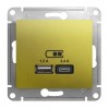 Розетка 2xUSB SYSTEME ELECTRIC GLOSSA, скрытый монтаж, фисташковый, GSL001039