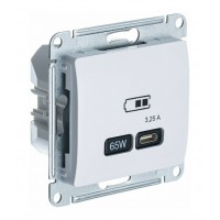 Розетка USB type C SYSTEME ELECTRIC GLOSSA, скрытый монтаж, белый, GSL000127