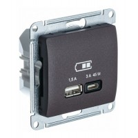 Розетка USB+USB type C SYSTEME ELECTRIC GLOSSA, скрытый монтаж, шоколад, GSL000829