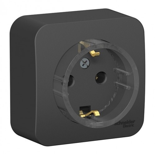 Розетка SYSTEME ELECTRIC BLANCA, открытый монтаж, с заземлением, антрацит, BLNRA110116