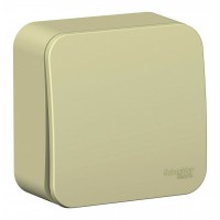 Выключатель 1-клавишный SYSTEME ELECTRIC BLANCA, открытый монтаж, бежевый, BLNVA101017