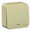 Переключатель 1-клавишный SYSTEME ELECTRIC BLANCA, открытый монтаж, бежевый, BLNVA106117