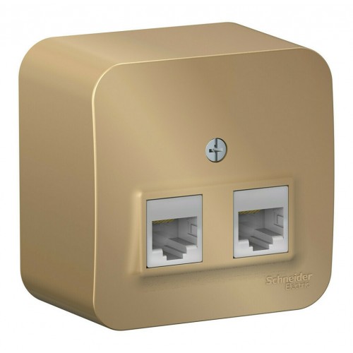 Розетка компьютерная 2xRJ45 SYSTEME ELECTRIC BLANCA, открытый монтаж, титан, BLNIA045454