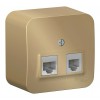Розетка телефонная+компьютерная RJ11+RJ45 SYSTEME ELECTRIC BLANCA, скрытый монтаж, титан, BLNIA045114