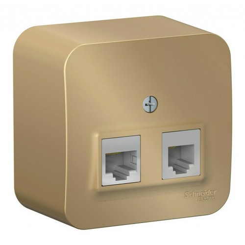Розетка телефонная+компьютерная RJ11+RJ45 SYSTEME ELECTRIC BLANCA, скрытый монтаж, титан, BLNIA045114