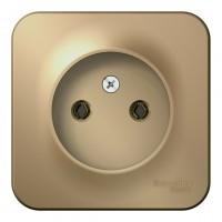 Розетка SYSTEME ELECTRIC BLANCA, открытый монтаж, без заземления, титан
