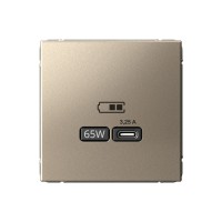 Розетка USB type C SYSTEME ELECTRIC ARTGALLERY, скрытый монтаж, шампань, GAL000527