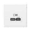 Розетка USB type C SYSTEME ELECTRIC ARTGALLERY, скрытый монтаж, лотос, GAL001327