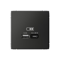 Розетка USB+USB type C SYSTEME ELECTRIC ARTGALLERY, скрытый монтаж, базальт, GAL001429